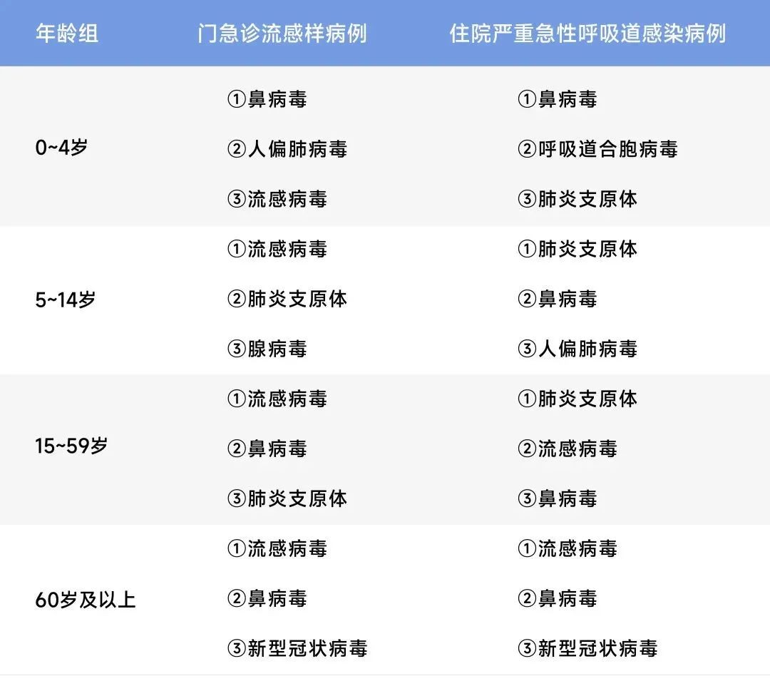 宏胜国际|Home