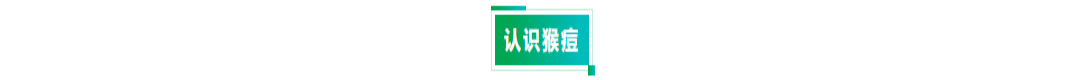 宏胜国际|Home