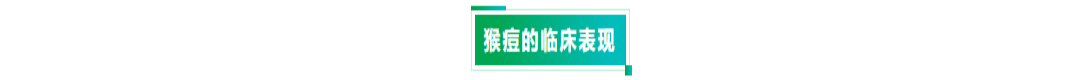宏胜国际|Home